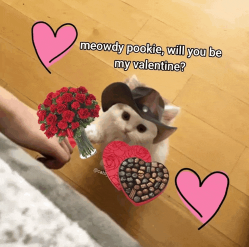 a cat wearing a cowboy hat is holding a bouquet of red roses and a heart shaped box of chocolates