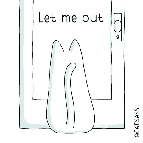 a drawing of a cat looking out a window with the words let me out written above it