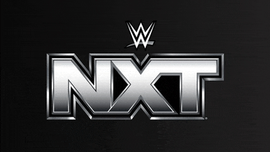 a wrestling logo for nxt with a w on top