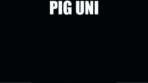 a black background with pig uni written on it .