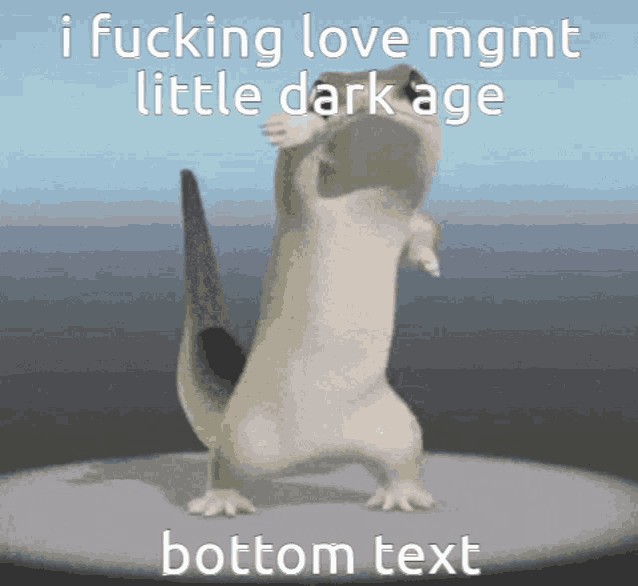 a lizard is dancing with the words i fucking love mgmt little dark age bottom text below it