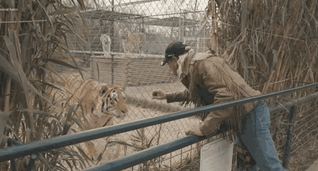 a man is feeding a tiger behind a chain link fence with a sign that says general farm on it