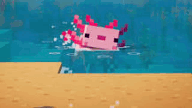 an axolotl is swimming in the ocean in minecraft .