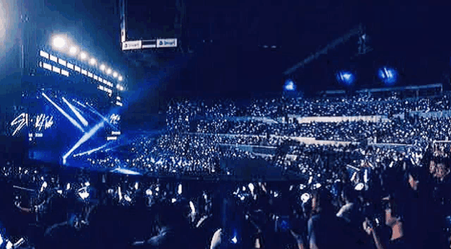 a large crowd of people are sitting in a stadium watching a concert .