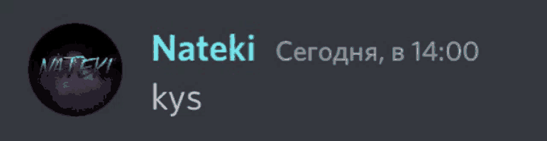 a screenshot of a discord chat with nateki kys