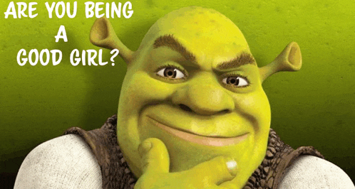 shrek with the words are you being a good girl