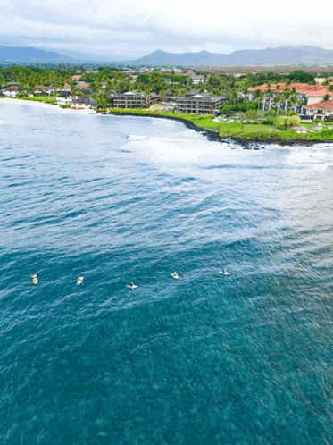 a group of people are surfing in the ocean