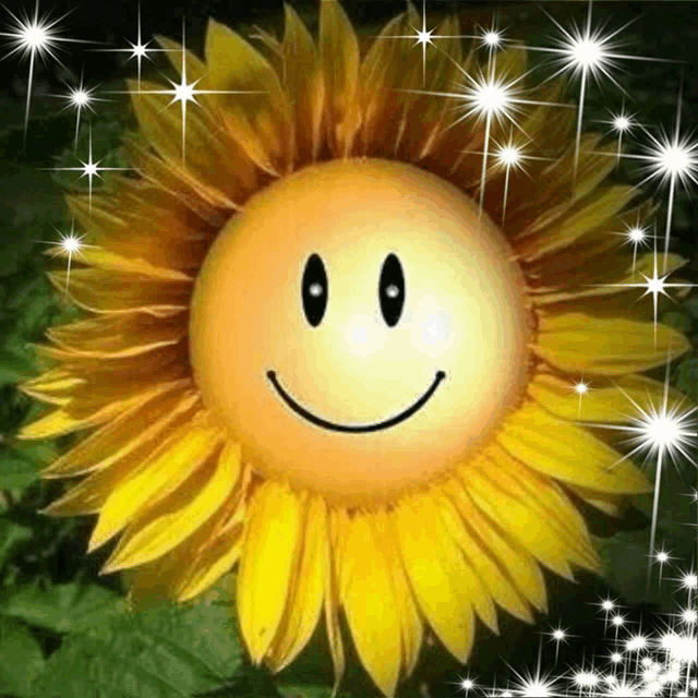 a sunflower with a smiley face on it surrounded by stars