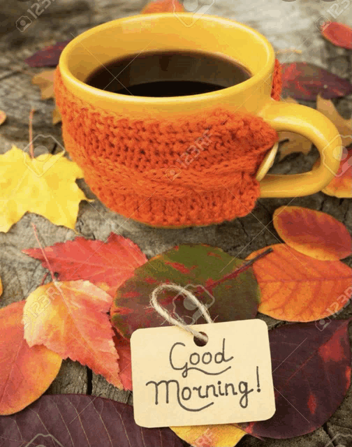 a cup of coffee surrounded by autumn leaves with a tag that says good morning