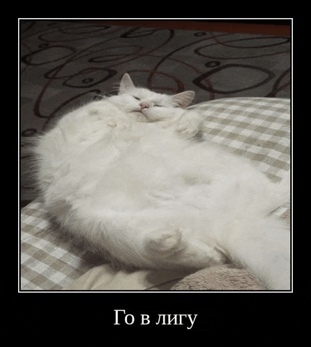 a white cat is laying on its back on a checkered pillow with a caption in russian