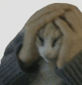 a person is holding a cat 's head in their hands