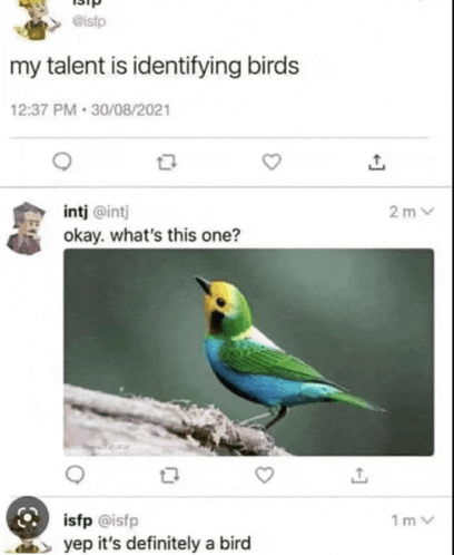 a twitter post about identifying birds with a picture of a bird .