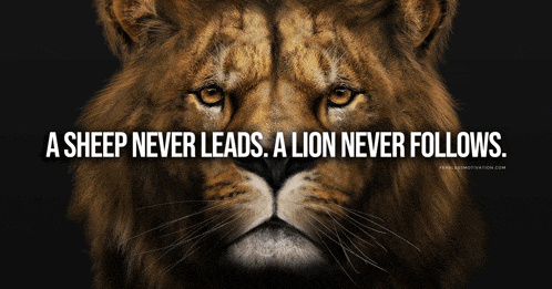 a lion with the words " a sheep never leads a lion never follows "