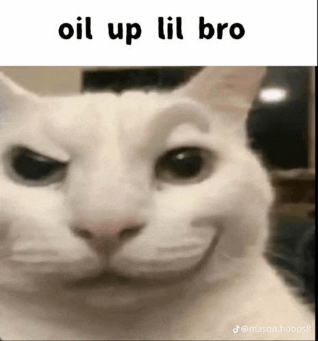 a close up of a cat 's face with the words oil up lil bro above it