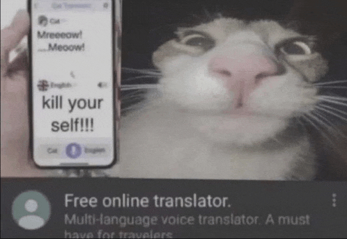 a cat is holding a phone that says kill your self !!!