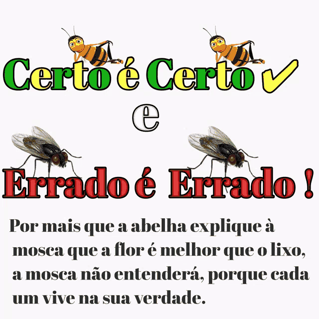 a poster that says certo e certo e errado é errado