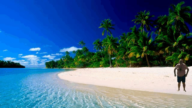 a man is walking on a beach with palm trees in the background