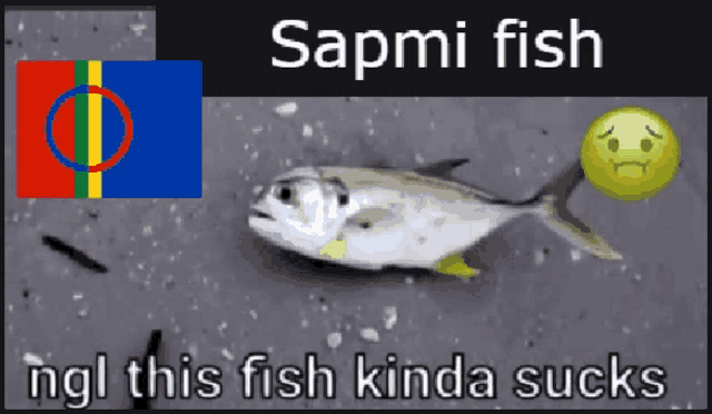 a picture of a fish with a sad face next to the word sapmi fish