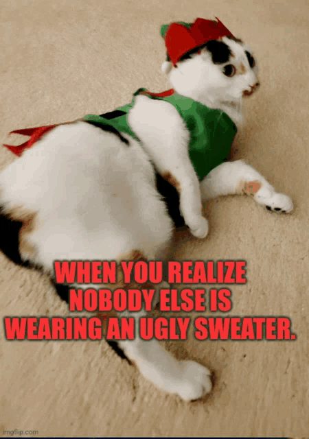 a cat wearing a green vest and a red hat with a caption that says when you realize