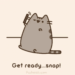 a cartoon of a cat with the words get ready snap written below it