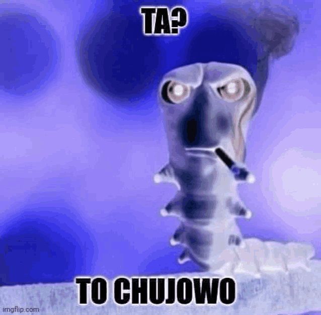 a cartoon caterpillar is smoking a cigarette and says `` ta ? to chujowo '' .