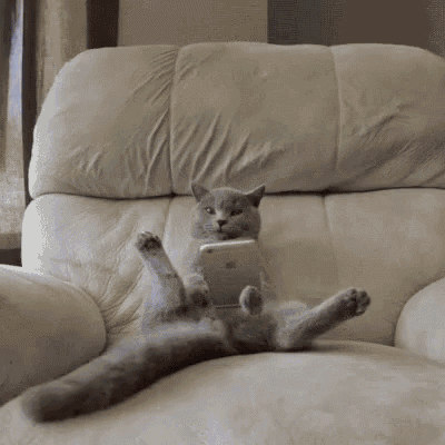 a cat is sitting on a couch with its legs crossed and holding a cell phone