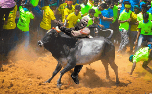 a man is riding on the back of a bull in a crowd of people wearing neon green shirts with the number 100 on them