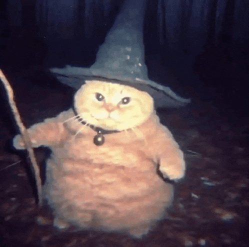 a cat wearing a witch hat and holding a cane .