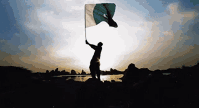 a silhouette of a person holding a flag in the wind