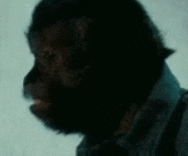 a close up of a man 's face in a dark room with a blurred background .