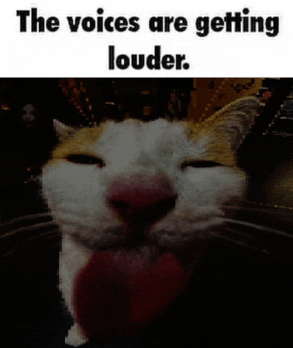 a cat with its mouth open and the words " the voices are getting louder " on the bottom