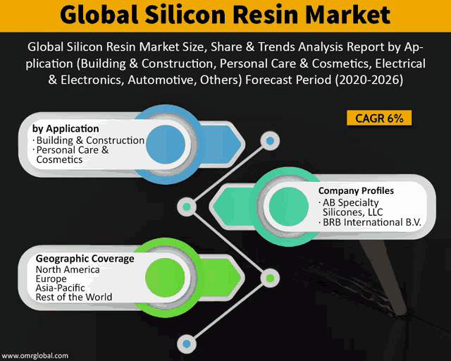 a graph showing the global silicon resin market by application and geographic coverage