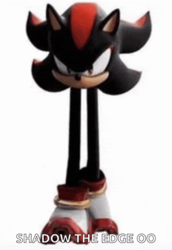 shadow the hedgehog is a cartoon character from the video game sonic the hedgehog with long legs .