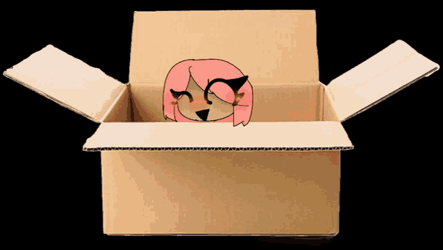 a cardboard box with a drawing of a girl with pink hair