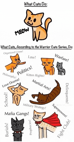 what cats do according to the warrior cats series do