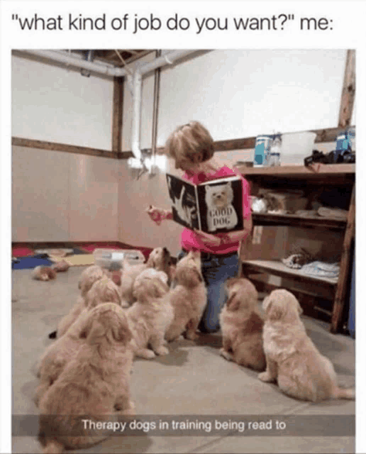 a woman reads a book to a group of puppies titled " good dog "