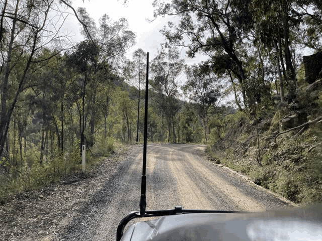 a car is driving down a dirt road with trees on the side