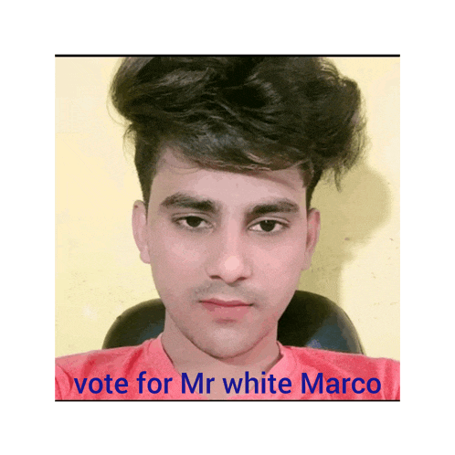 a picture of a young man with the words vote for mr white marco above him