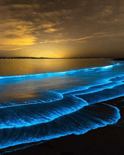 a beach at night with waves glowing blue