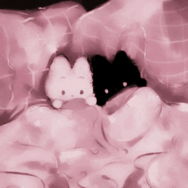 a black cat and a white cat are laying on a pink blanket .