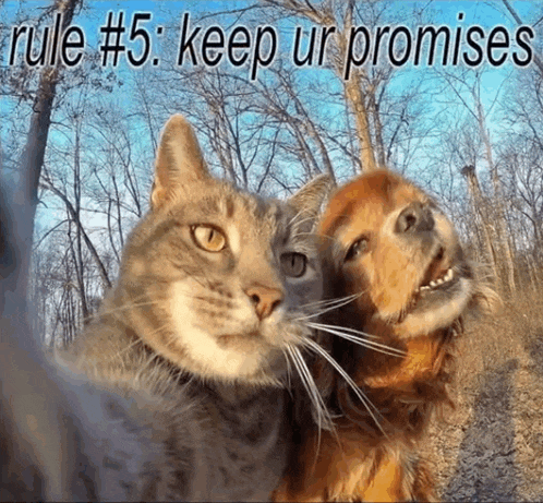 a picture of a cat and a dog with rule # 5 keep ur promises written above them