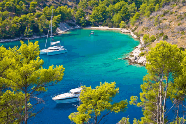 two boats are docked in a turquoise bay surrounded by pine trees