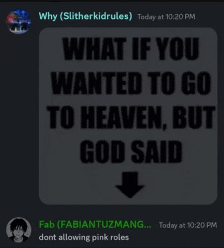 a screenshot of a discord conversation between why ( slitherkidrules ) and fab ( fabiantuzmang )