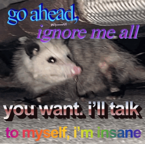 a picture of an opossum with the words go ahead ignore me all