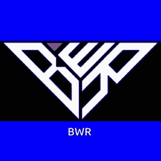 a black and white logo with the word bwr below it