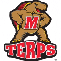 a turtle with the letter m on its chest and the word terps on the bottom .