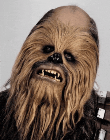 a chewbacca with a bald head and a beard