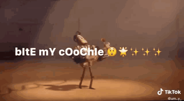 a video of an ostrich that says " bite my coochle " on it