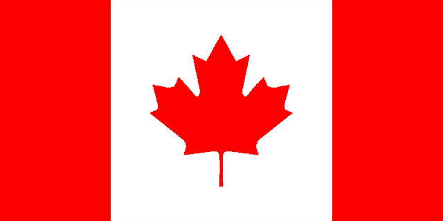 a red maple leaf is on a white background