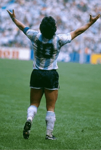 a soccer player is standing on a field with his arms in the air .